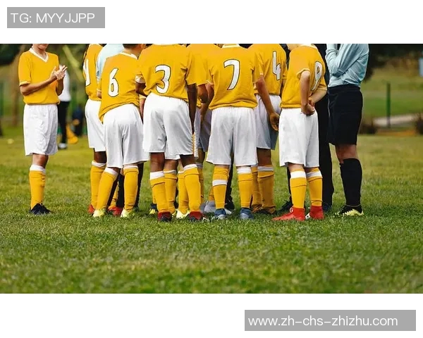 踢足球需要多少人才能组成一场完整的比赛和团队合作的乐趣